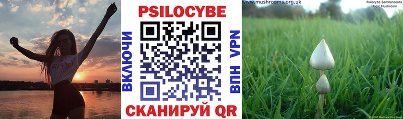 Галлюциногенные грибы Psilocybine cubensis  Городец 